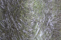 Cartledge fibreglass roof work